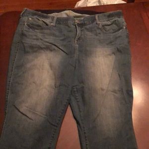 Torrid premium jeans